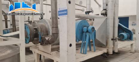 L�nea de producci�n de pan rallado: 15 toneladas por d�a.